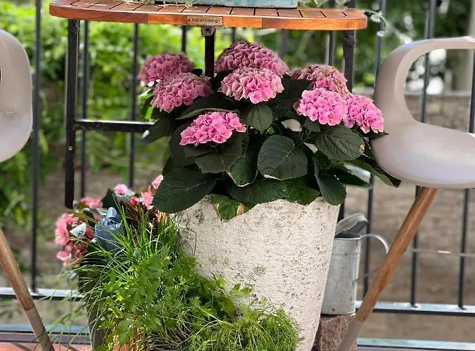 Lägenhet Camillas Centre *