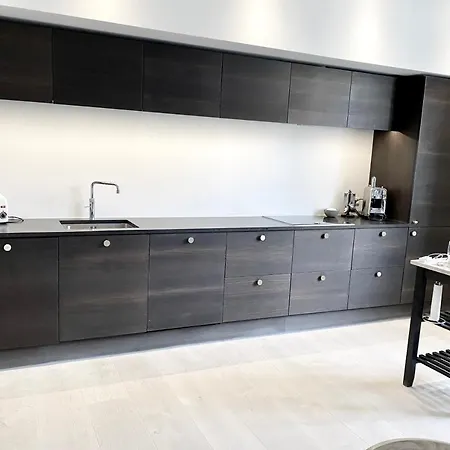 Camillas Centre 哥本哈根