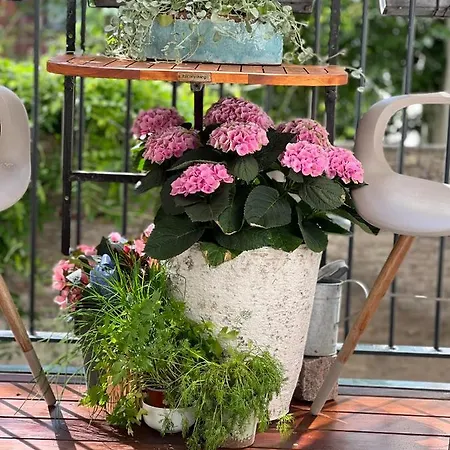 公寓 Camillas Centre *